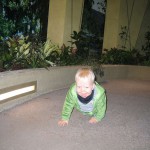 Jannik macht das Brandishaus unsicher