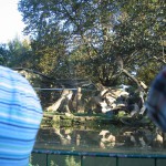 und Otter aus Janniks und Jonathans Sicht